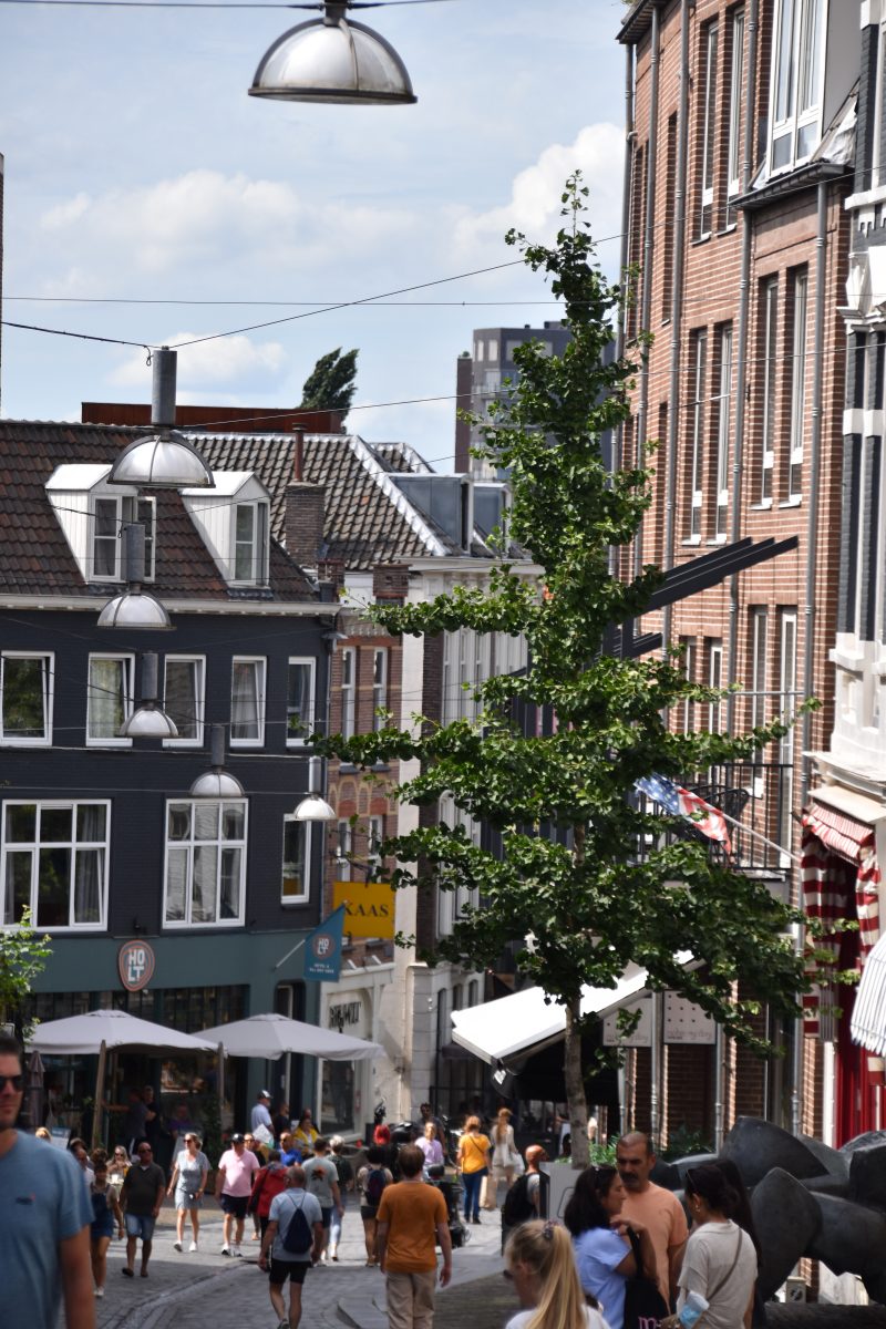 Lange Hezelstraat, Straten